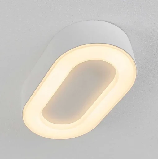 Plafonnier Exterieur Paleroo Led Blanc, 1 Lumiere