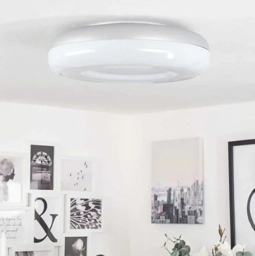 Plafonnier Monfebres Led Argente, Blanc, 1 Lumiere, Telecommandes, Changeur De Couleurs