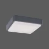 Plafonnier Paul Neuhaus Q-Lenny Led Anthracite, 1 Lumiere, Telecommandes, Changeur De Couleurs