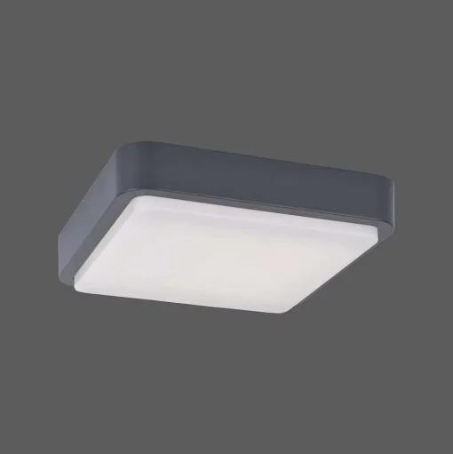 Plafonnier Paul Neuhaus Q-Lenny Led Anthracite, 1 Lumiere, Telecommandes, Changeur De Couleurs
