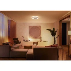 Plafonnier Philips Hue Infuse Led Blanc, 1 Lumiere, Changeur De Couleurs