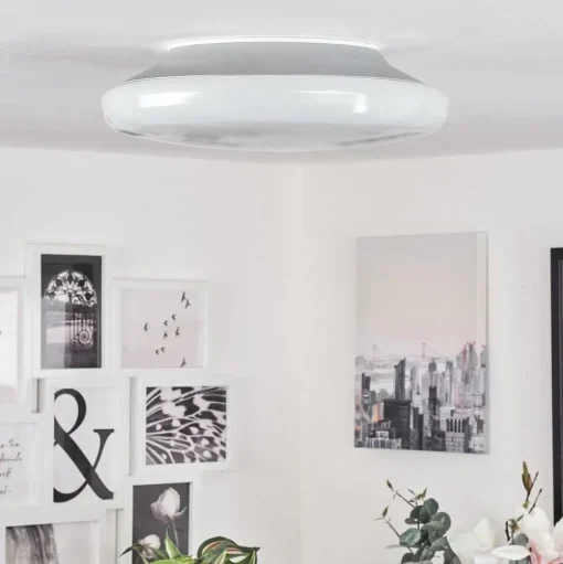 Plafonnier Ral Led Argente, Blanc, 1 Lumiere, Telecommandes, Changeur De Couleurs