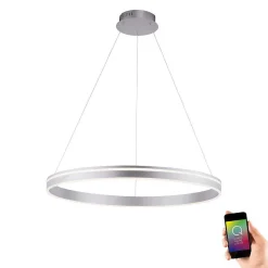 Suspension Paul Neuhaus Q-Vito Led Acier Inoxydable, 1 Lumiere, Telecommandes