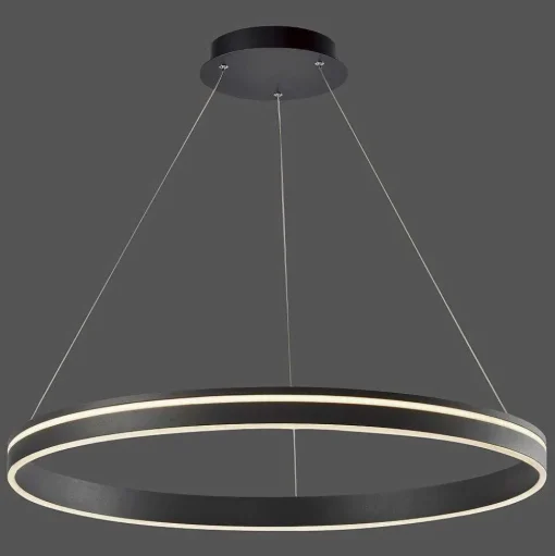 Suspension Paul Neuhaus Q-Vito Led Anthracite, 1 Lumiere, Telecommandes